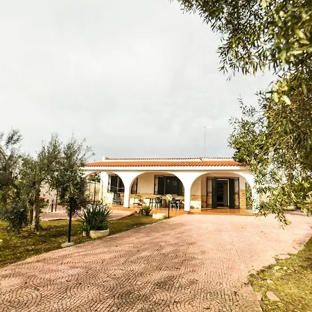 Vivi Salento - A